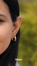 Load image into Gallery viewer, 10k 4mm Tube Hoops
